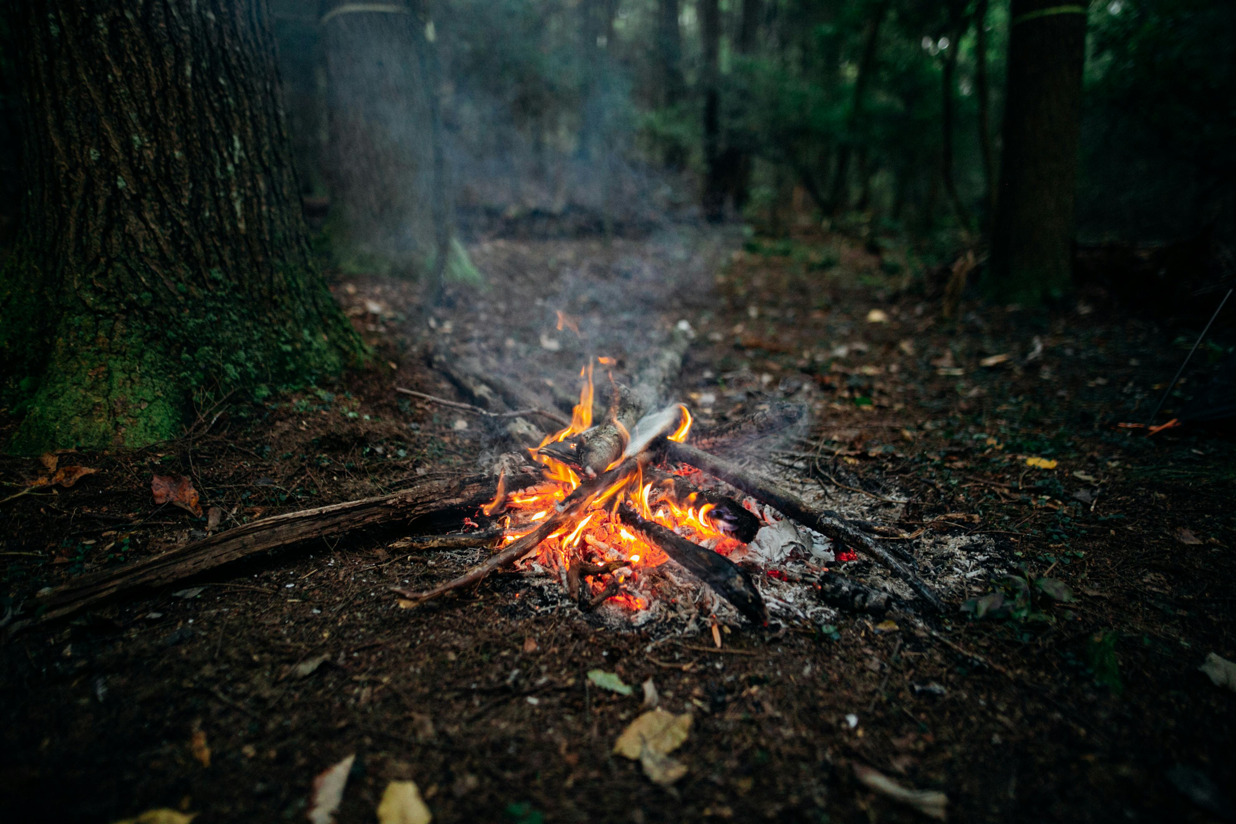 Applicazione delle misure di prevenzione rischio incendi boschivi 